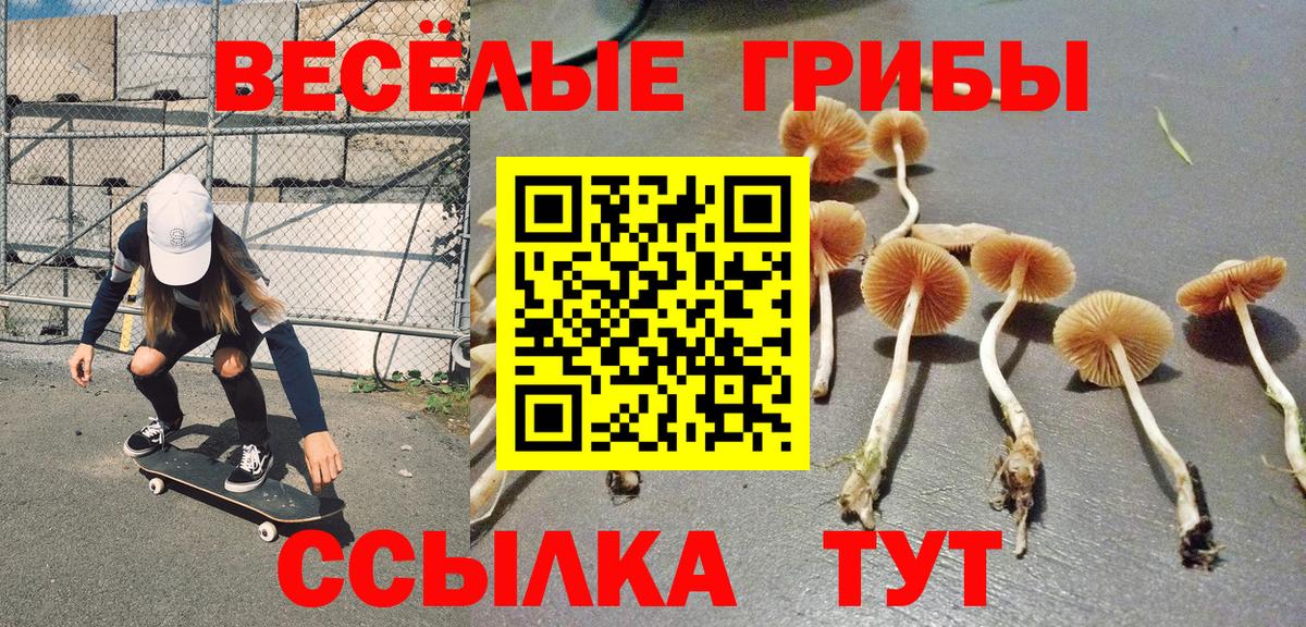 Галлюциногенные грибы ЛСД Нягань