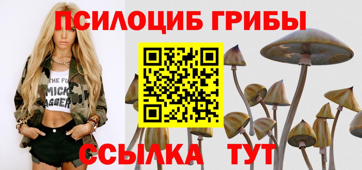 Псилоцибиновые грибы Cubensis  Псилоцибиновые грибы Psilocybe  Нягань  Вход с VPN 